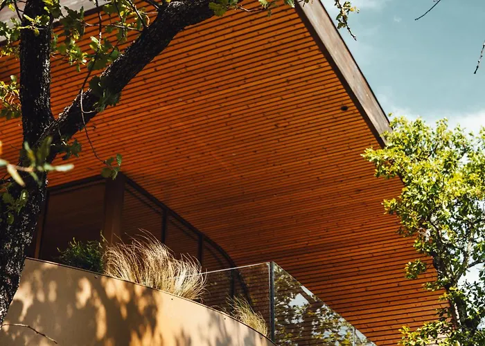 Alojamento de Acomodação e Pequeno-almoço Souki ~ &